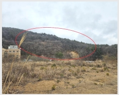  2024Ÿ��797 ��� ���ֱ� �¾��� ���긮 63-2      ����(��1)���