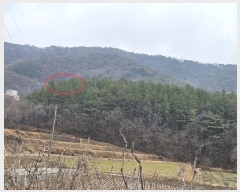  2024Ÿ��797 ��� ���ֱ� �¾��� ���긮 63-2      ����(��1)���