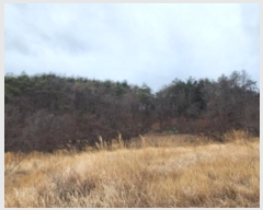  2024Ÿ��797 ��� ���ֱ� �¾��� ���긮 63-2      ����(��1)���