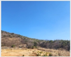  2024Ÿ��797 ��� ���ֱ� �¾��� ���긮 63-2      ����(��1)���