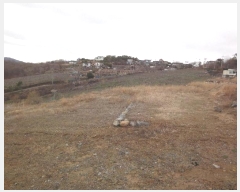  2024Ÿ��1035  �ٸ��󰡰��