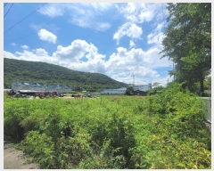  2024Ÿ��6689  ����