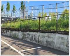  2024Ÿ��6849  �������