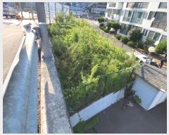  2024Ÿ��6849  �������