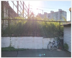  2024Ÿ��6849  �������