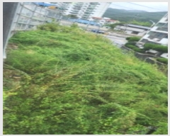  2024Ÿ��6849  �������