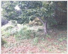  2024Ÿ8043  ֱ ϸ õ 1126      (1)