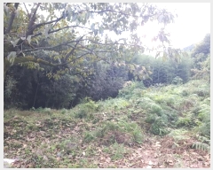  2024Ÿ8043  ֱ ϸ õ 1126      (1)