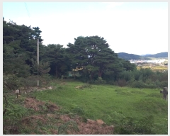  2024Ÿ8043  ֱ ϸ õ 1126      (1)