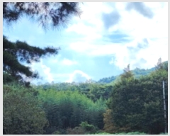  2024Ÿ8043  ֱ ϸ õ 1126      (1)