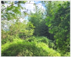  2024Ÿ8043  ֱ ϸ õ 1126      (1)