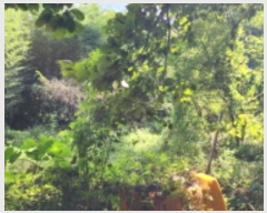  2024Ÿ8043  ֱ ϸ õ 1126      (1)