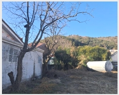  2024Ÿ��10077  �������