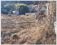  2024Ÿ��10077  �������