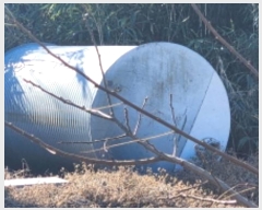  2024Ÿ��10077  �������