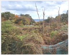  2024Ÿ��103368  �����