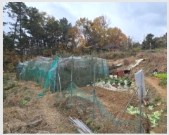  2024Ÿ��103368  �����