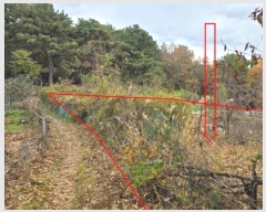  2024Ÿ��103368  �����