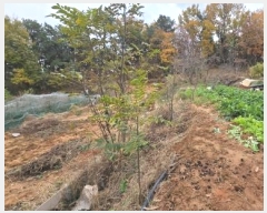  2024Ÿ��103368  �����