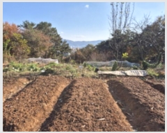  2024Ÿ��103368  �����