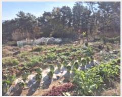  2024Ÿ��103368  �����