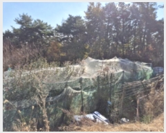  2024Ÿ��103368  �����