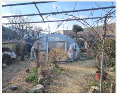  2024Ÿ��104002  �����