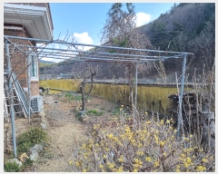  2024Ÿ��104002  �����