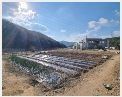  2024Ÿ��104002  �����