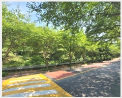  2024Ÿ108516  ֱ  ȭ 164-9      (Ӿ)