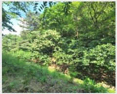  2024Ÿ108516  ֱ  ȭ 164-9      (Ӿ)