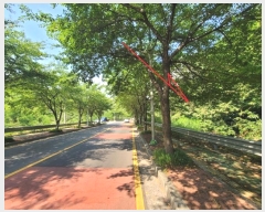  2024Ÿ108516  ֱ  ȭ 164-9      (Ӿ)