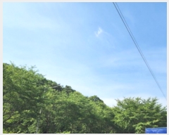  2024Ÿ108516  ֱ  ȭ 164-9      (Ӿ)