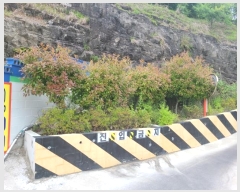  2024Ÿ��109113  �����Ұ��