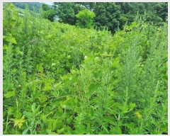  2024Ÿ109700  ֱ  žϸ 133      ()