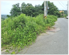  2024Ÿ109700  ֱ  žϸ 133      ()