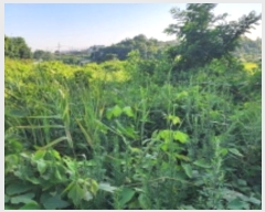  2024Ÿ109700  ֱ  žϸ 133      ()