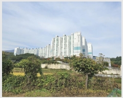  2024Ÿ��117374  ����Ʈ���