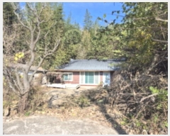  2024Ÿ118766  ϱ 뵿 339       ð