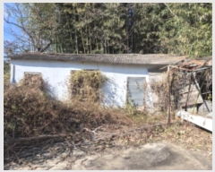  2024Ÿ118766  ϱ 뵿 339       ð