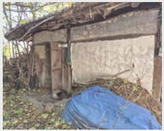  2024Ÿ118766  ϱ 뵿 339       ð