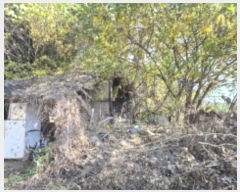  2024Ÿ118766  ϱ 뵿 339       ð