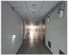  2024Ÿ��119493  ���ǽ��ڰ��