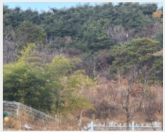  2024Ÿ��119936 ��� ���ֱ� �ﳲ�� ��⸮ 752-2      ����(��1)���