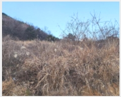  2024Ÿ��119936 ��� ���ֱ� �ﳲ�� ��⸮ 752-2      ����(��1)���