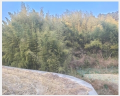  2024Ÿ��120721  ����