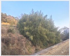  2024Ÿ��120721  ����