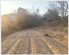  2024Ÿ��120721  ����