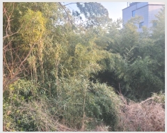  2024Ÿ��120721  ����