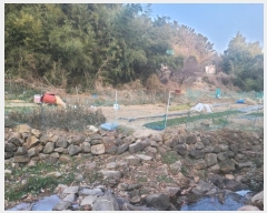  2024Ÿ��120721  ����